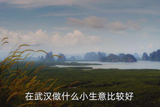 在武漢賣花生油怎么樣,在農(nóng)村做花生油加工行業(yè)