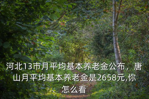 石家莊平均退休金是多少,在石家莊是個什么水平