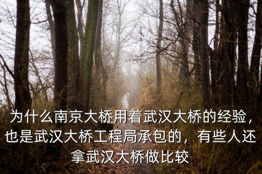 為什么南京大橋用著武漢大橋的經驗，也是武漢大橋工程局承包的，有些人還拿武漢大橋做比較