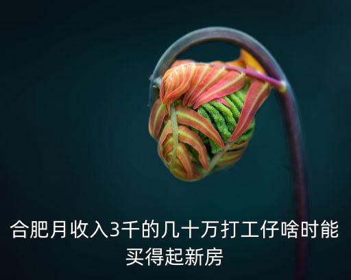 合肥月收入3千的幾十萬打工仔啥時能買得起新房