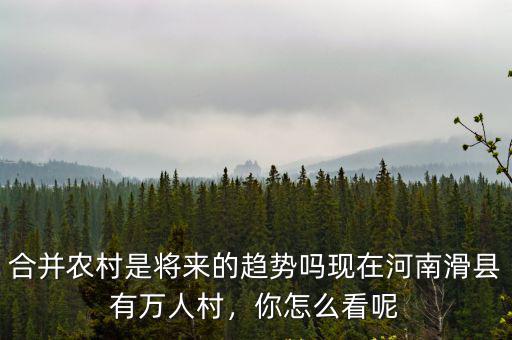 合并農(nóng)村是將來(lái)的趨勢(shì)嗎現(xiàn)在河南滑縣有萬(wàn)人村，你怎么看呢