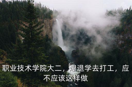 襄陽職業(yè)技術(shù)學(xué)院怎么退學(xué),職業(yè)技術(shù)學(xué)院大二