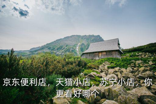 漯河蘇寧小店在哪里,想在小區(qū)開個蘇寧小店