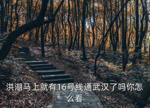 洪湖馬上就有16號線通武漢了嗎你怎么看