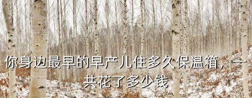 安徽省婦幼保健院保溫箱一天多少錢啊,嬰兒放在保溫箱一天多少錢
