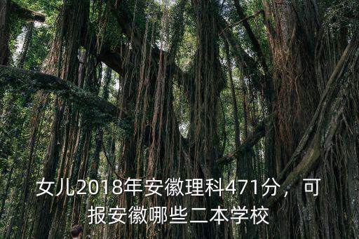 女兒2018年安徽理科471分，可報安徽哪些二本學校