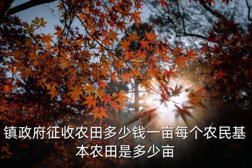 鎮政府征收農田多少錢一畝每個農民基本農田是多少畝