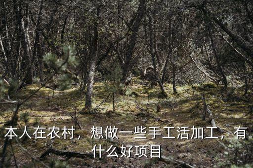 本人在農村，想做一些手工活加工，有什么好項目