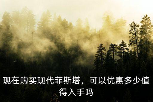 石家莊菲斯塔優(yōu)惠多少,可以優(yōu)惠多少