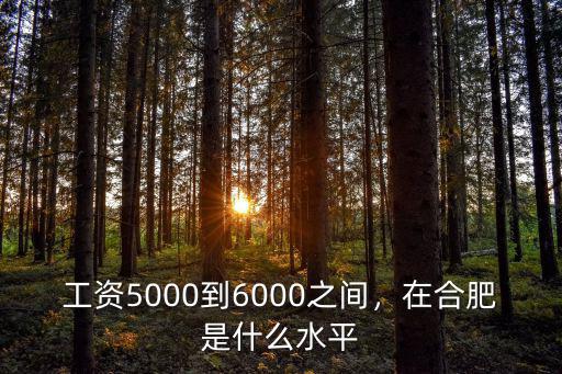 合肥畢業生基層特崗工資多少,在合肥能拿多少工資