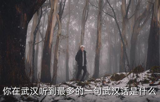 你在武漢聽到最多的一句武漢話是什么