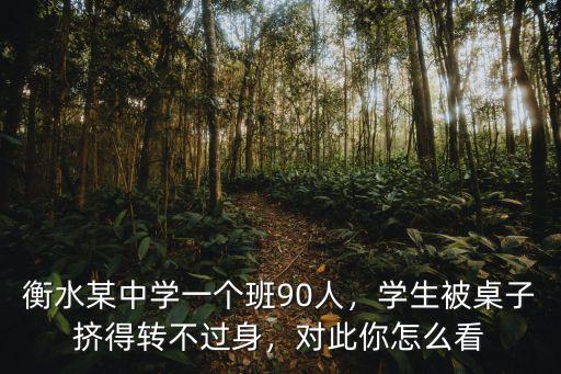 衡水某中學一個班90人，學生被桌子擠得轉不過身，對此你怎么看