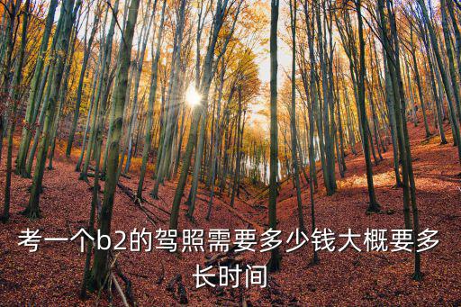 考一個b2的駕照需要多少錢大概要多長時間