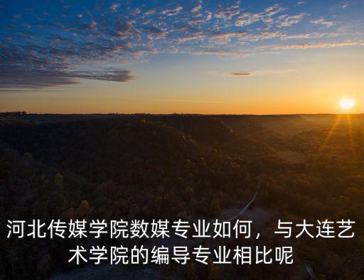 河北傳媒學院數媒專業如何，與大連藝術學院的編導專業相比呢