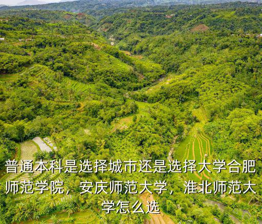 淮北師范學院招生分數線多少,合肥師范學院