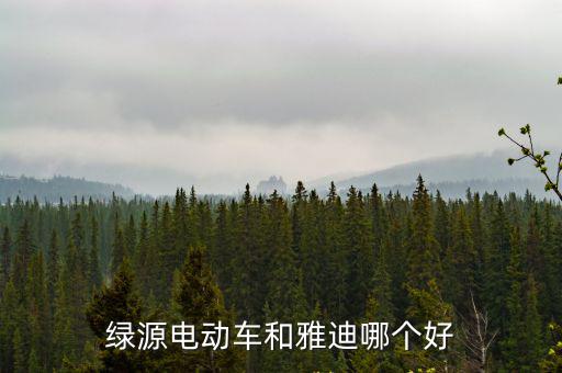 綠源電動車服務電話多少宿州,綠源電動車有什么特別之處
