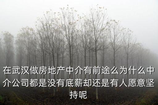 武漢泛洋中介怎么樣,武漢的中介公司這么多