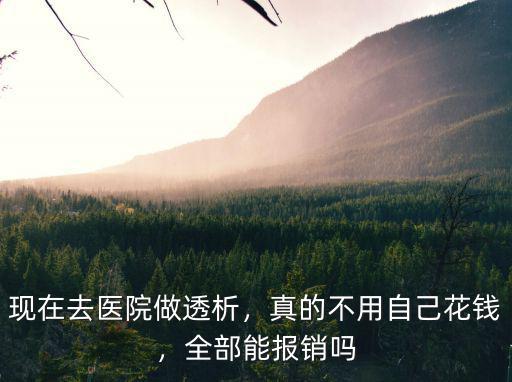 滄州二醫(yī)院透析報銷完多少,報銷比例是多少