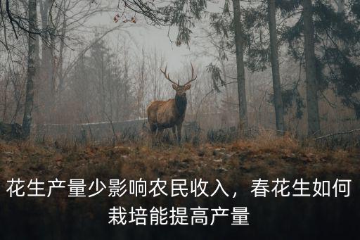 宿州能種植花生嗎產量多少,春花生如何栽培能提高產量