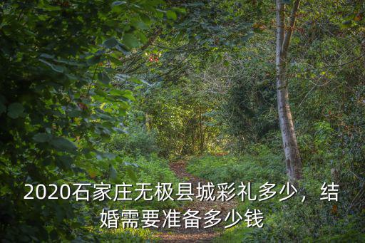 石家莊城中村彩禮錢一般給多少,石家莊藁城彩禮一般多少錢