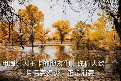 用騰訊大王卡的朋友們，你們大致一個(gè)月話費(fèi)多少，正常消費(fèi)