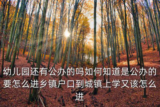 幼兒園還有公辦的嗎如何知道是公辦的要怎么進鄉鎮戶口到城鎮上學又該怎么進