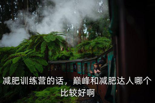減肥訓練營的話，巔峰和減肥達人哪個比較好啊