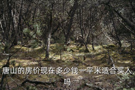 唐山辦事處開多少錢一平米,唐山的房價現在多少錢一平米