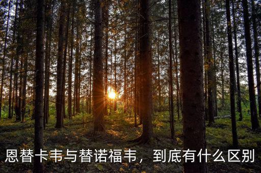 阜陽恩替卡韋價(jià)格是多少,恩替卡韋與替諾福韋