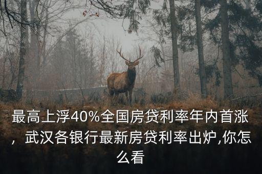最高上浮40%全國房貸利率年內首漲，武漢各銀行最新房貸利率出爐,你怎么看
