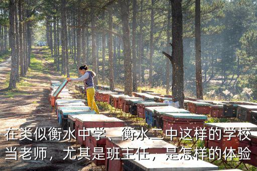 在衡水中學當老師工資有多少,在類似衡水中學
