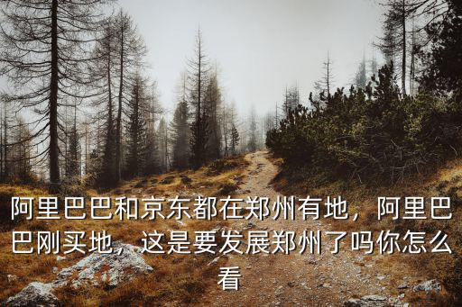 阿里巴巴和京東都在鄭州有地，阿里巴巴剛買地，這是要發展鄭州了嗎你怎么看