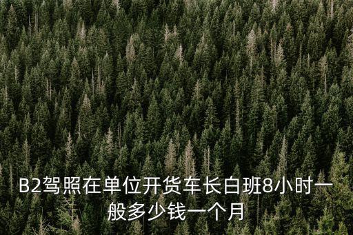 河北開大車多少錢一個月,一個月能賺多少錢