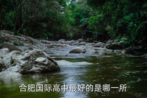 合肥國際高中最好的是哪一所