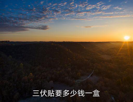 阜陽市中醫院三伏貼多少錢,三伏貼的效果怎么樣