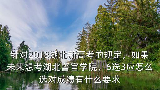 湖北高考政策改后怎么選科,湖北高考改革3 3