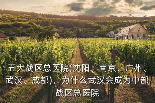 五大戰區總醫院(沈陽、南京、廣州、武漢、成都)，為什么武漢會成為中部戰區總醫院