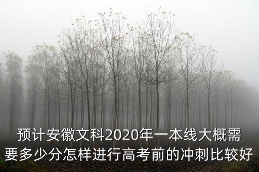 安徽文科一本線多少,預(yù)計(jì)安徽一本線是多少