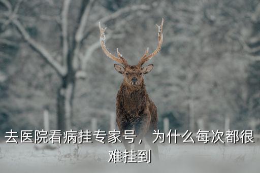 去醫院看病掛專家號，為什么每次都很難掛到