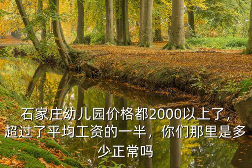 石家莊省直第一幼兒園價格多少錢,在石家莊有一個孩子上幼兒園