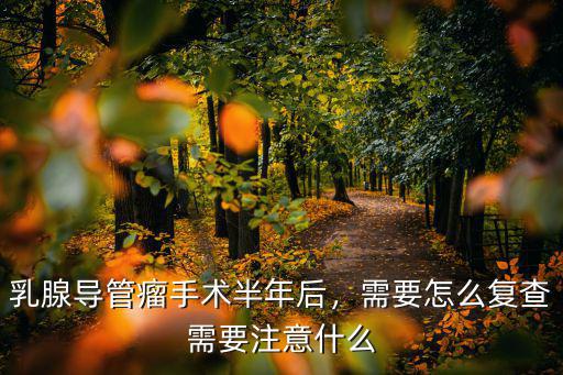 蚌埠乳腺導(dǎo)管瘤多少錢(qián),什么是乳腺導(dǎo)管內(nèi)乳頭狀瘤