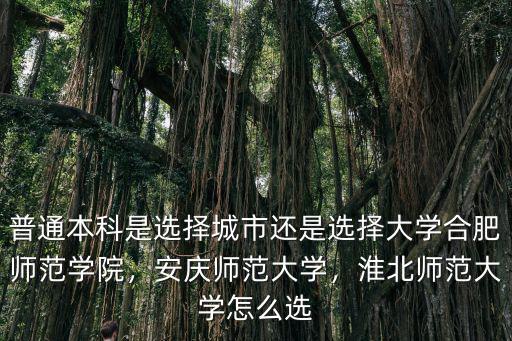 普通本科是選擇城市還是選擇大學合肥師范學院，安慶師范大學，淮北師范大學怎么選