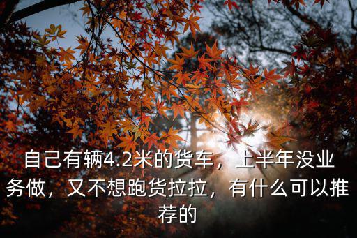 自己有輛4.2米的貨車，上半年沒業務做，又不想跑貨拉拉，有什么可以推薦的
