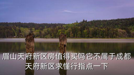 眉山天府新區哪里好,眉山天府新區房值得買嗎