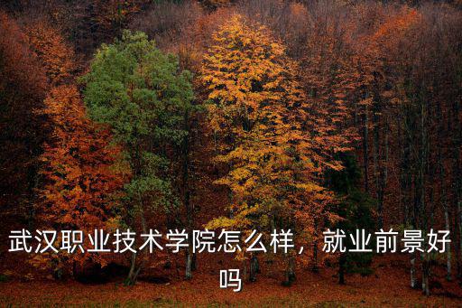 武漢職業技術學院怎么樣減肥壁紙,武漢職業技術學院怎么樣
