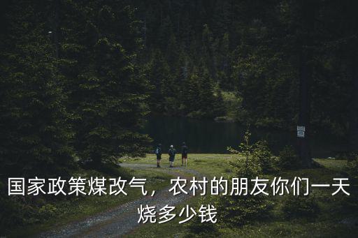 國家政策煤改氣，農村的朋友你們一天燒多少錢