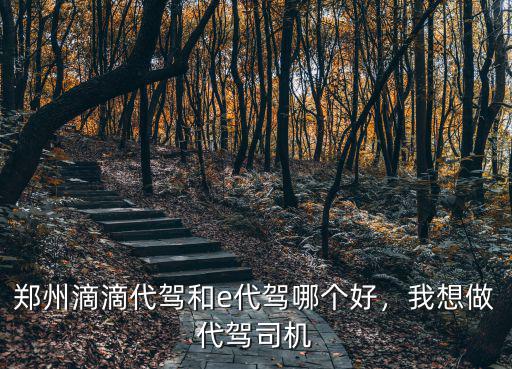 鄭州滴滴代駕和e代駕哪個好，我想做代駕司機
