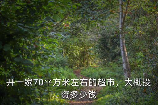 保定開個超市要投資多少錢啊,大概投資多少錢