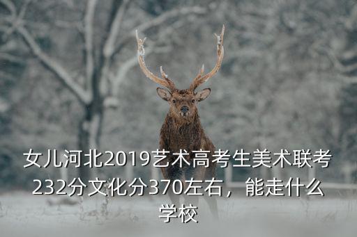 女兒河北2019藝術(shù)高考生美術(shù)聯(lián)考232分文化分370左右，能走什么學校