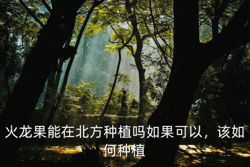 火龍果能在北方種植嗎如果可以，該如何種植